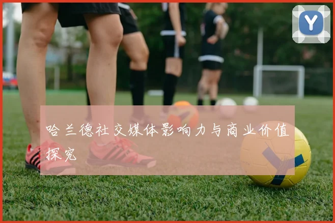 哈兰德社交媒体影响力与商业价值探究