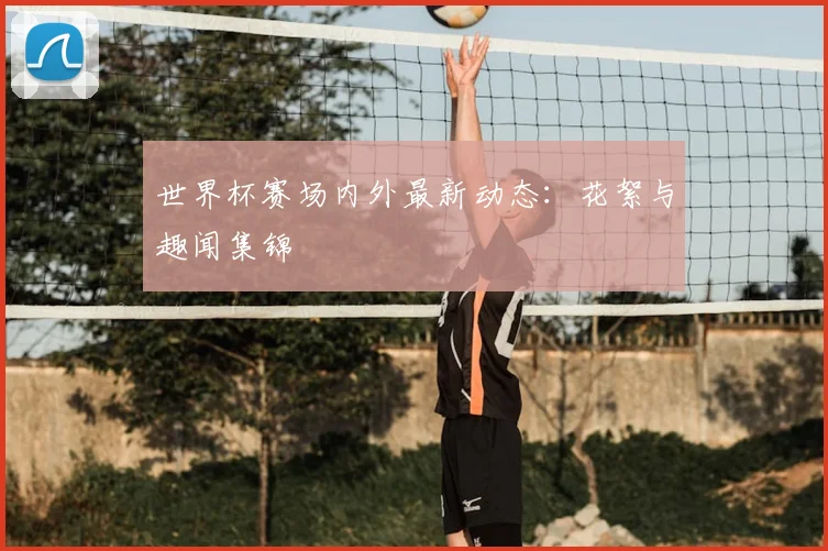 世界杯赛场内外最新动态：花絮与趣闻集锦